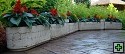 thn_kvetinace (18).jpg